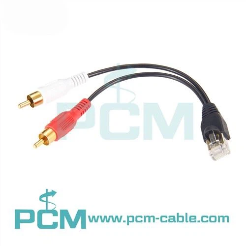Adattatore Power Link RCA maschio a cavo RJ45